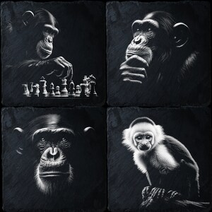 Op de afbeelding: Een set van vier zwarte leisteen onderzetters met zwart-wit illustraties van chimpansees en een kapucijnaap. De chimpansees zijn te zien terwijl ze schaken, nadenken en rechtstreeks naar de kijker kijken. De kapucijnaap zit op een tak.