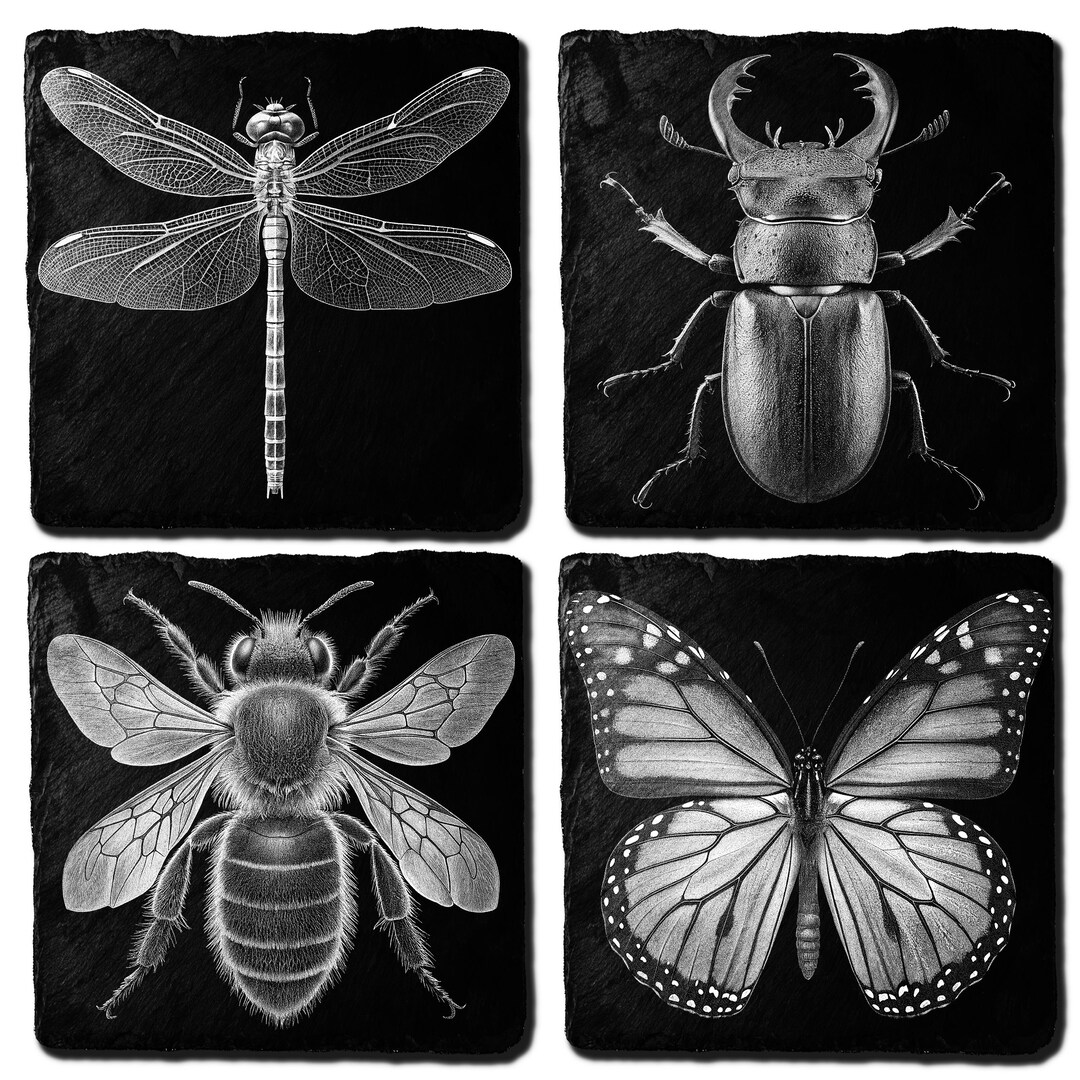 Insect Inprints Bundle of 4 Insect Anatomy Laser Engrave Files, Stag Beetle, Monarch ...