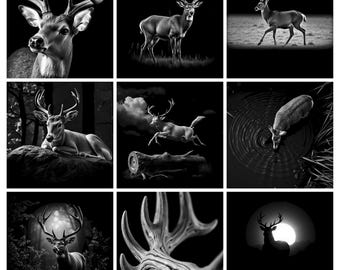 May include: A collection of nine black and white images featuring deer in various poses, including close-ups of antlers, a deer jumping over a log, a deer drinking from water, and a silhouette of a deer standing in front of a large full moon.