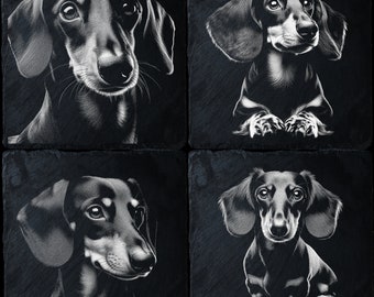 Op de afbeelding: Vier zwart-wit afbeeldingen van teckels op een leisteen achtergrond. Elke afbeelding toont een andere pose van de hond.