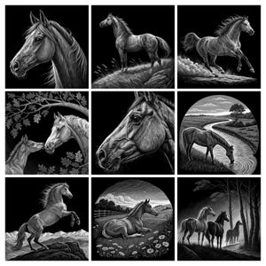 Puede incluir: Una colección de nueve ilustraciones en blanco y negro que muestran caballos en diversas posturas, incluyendo retratos, corriendo, pastando junto a un río, bajo ramas de roble, encabritados en un acantilado, descansando en un campo y en un bosque.