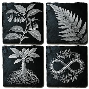 Puede incluir: Juego de cuatro posavasos de pizarra negra con ilustraciones botánicas blancas. Los diseños incluyen una planta con flores, un helecho, una planta con raíces y un símbolo de infinito con hojas.
