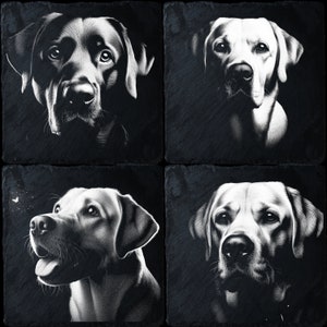 4 leisteenbundel labrador retriever, laserklare png-bestanden voor gravure, leisteen bord onderzetter kunst, CNC, CO2, Lightburn, Glowforge, Xtool