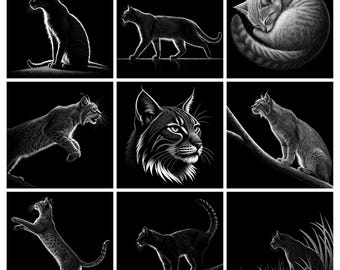 May include: A grid of nine black and white illustrations featuring cats in various poses. The images show cats sitting, walking, curled up, leaping, a close-up portrait of a lynx, perched on a branch, reaching upward, standing, and crouching in grass.
