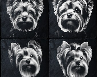 Puede incluir: Cuatro imágenes en blanco y negro de un Yorkshire Terrier sobre un fondo negro. Cada imagen muestra al perro desde un ángulo ligeramente diferente.