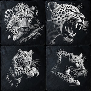 Könnte beinhalten: Vier Schwarzweißbilder von Leoparden auf dunklem Hintergrund. Jedes Bild zeigt eine andere Pose des Leoparden, wobei ein Bild den Leoparden beim Brüllen zeigt.