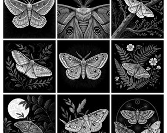 May include: A collection of nine square black and white illustrations featuring moths in various settings. The artwork depicts detailed moths with intricate wing patterns, some perched on branches, surrounded by ferns, flowers, or a full moon.