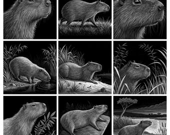 May include: A grid of nine black and white illustrations depicting capybaras in various poses and settings, including standing in grass, resting near water, and interacting with reeds, all rendered with detailed line work on a dark background.
