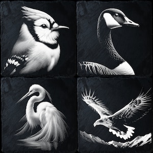 4 Slate Bundle Bird, Laser Ready PNG Files for Engraving, Slate Board Coaster Tray Art, CNC, CO2, Lightburn, Glowforge, Xtool