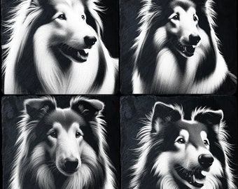 以下が含まれることがあります： コリー犬の4枚の白黒の画像を組み合わせたコラージュ。それぞれの画像は、犬の頭と肩を異なるポーズと表情で写しています。