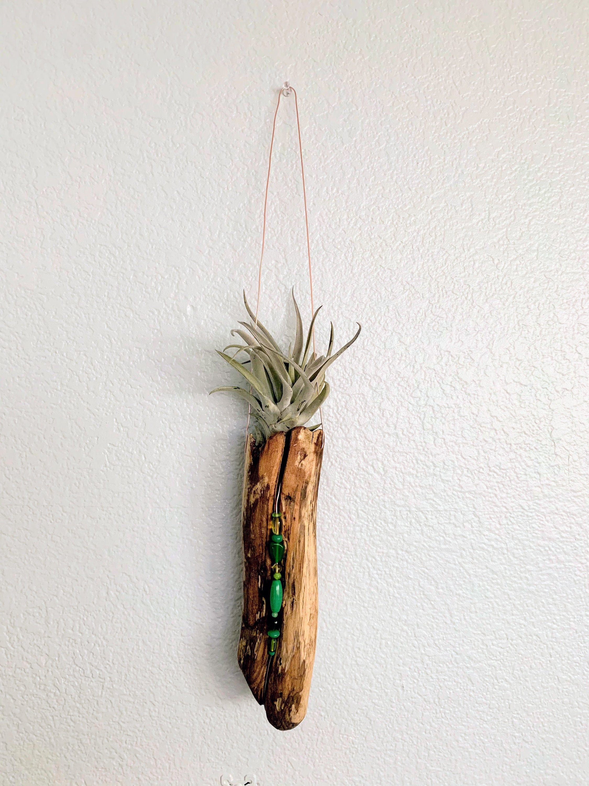 Air Plant Driftwood Wall Hanging Etsy