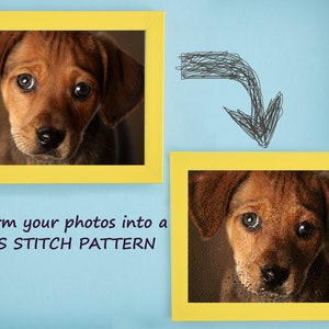 Custom Cross Stitch Patterns from your Own Photos - Pets | PDF Download