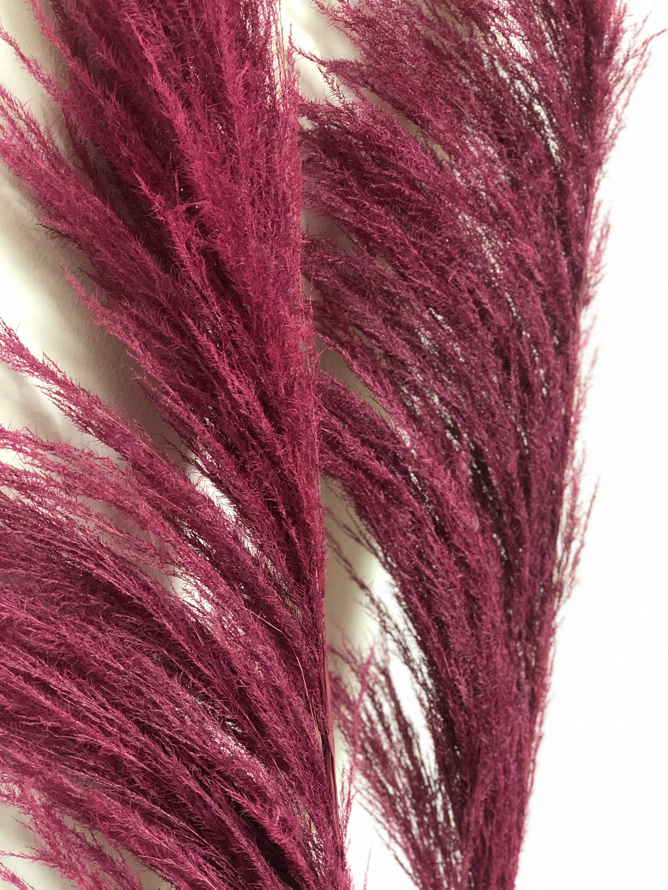 Pink Pampas Large Pampas Grass Dried Flowers Dried Etsy UK