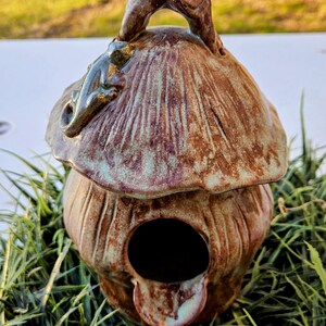 Handmade Pottery Birdhouse Rustic Green Brown Birdhouse Lizzard Accent Yard Decor Patio Decor Cabincore Mother's Day Gift Mushroom Yard Art