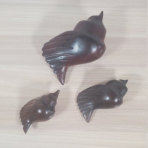 Puede incluir: Tres esculturas de madera de conchas marinas de diferentes tamaños. Las esculturas son de color marrón oscuro y tienen un acabado liso y pulido.