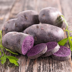 Adirondack Blue Seed Potatoes For Planting - Purple Potato for Growing Gardening For 2026 Free Shipping