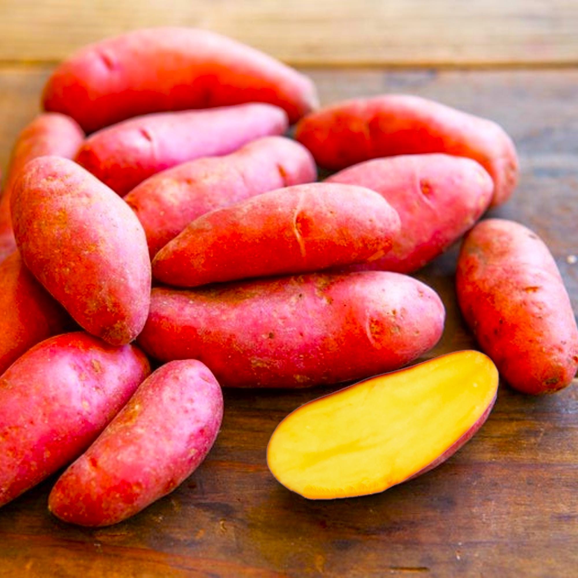 Red French Fingerling Seed Potatoes For Planting - Gold Potato Growing Gardening - For 2025 Free Shipping