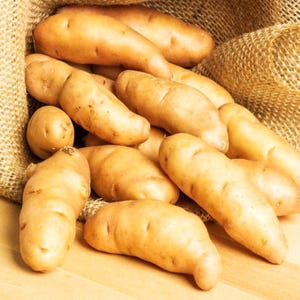 May include: A burlap sack filled with a variety of yellow potatoes. The potatoes are arranged in a pile, with some spilling out of the sack.
