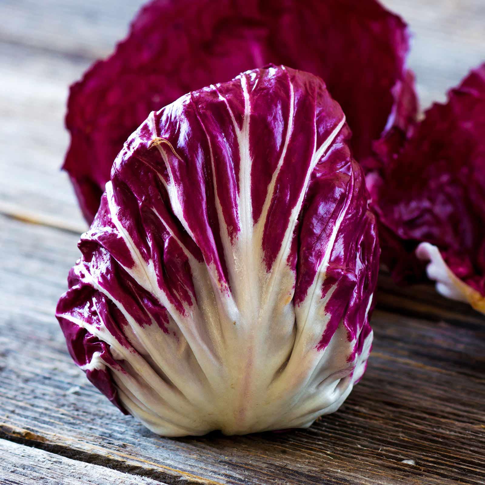 Raddichio Rosa Dirtseedco - Palla Rosa Radicchio Seeds - 2,000+ Count - for 2026 ...