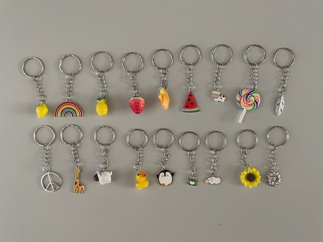 Fun Quirky Keyrings Teacher Gift Party Bag Small Gift Bag Accessory