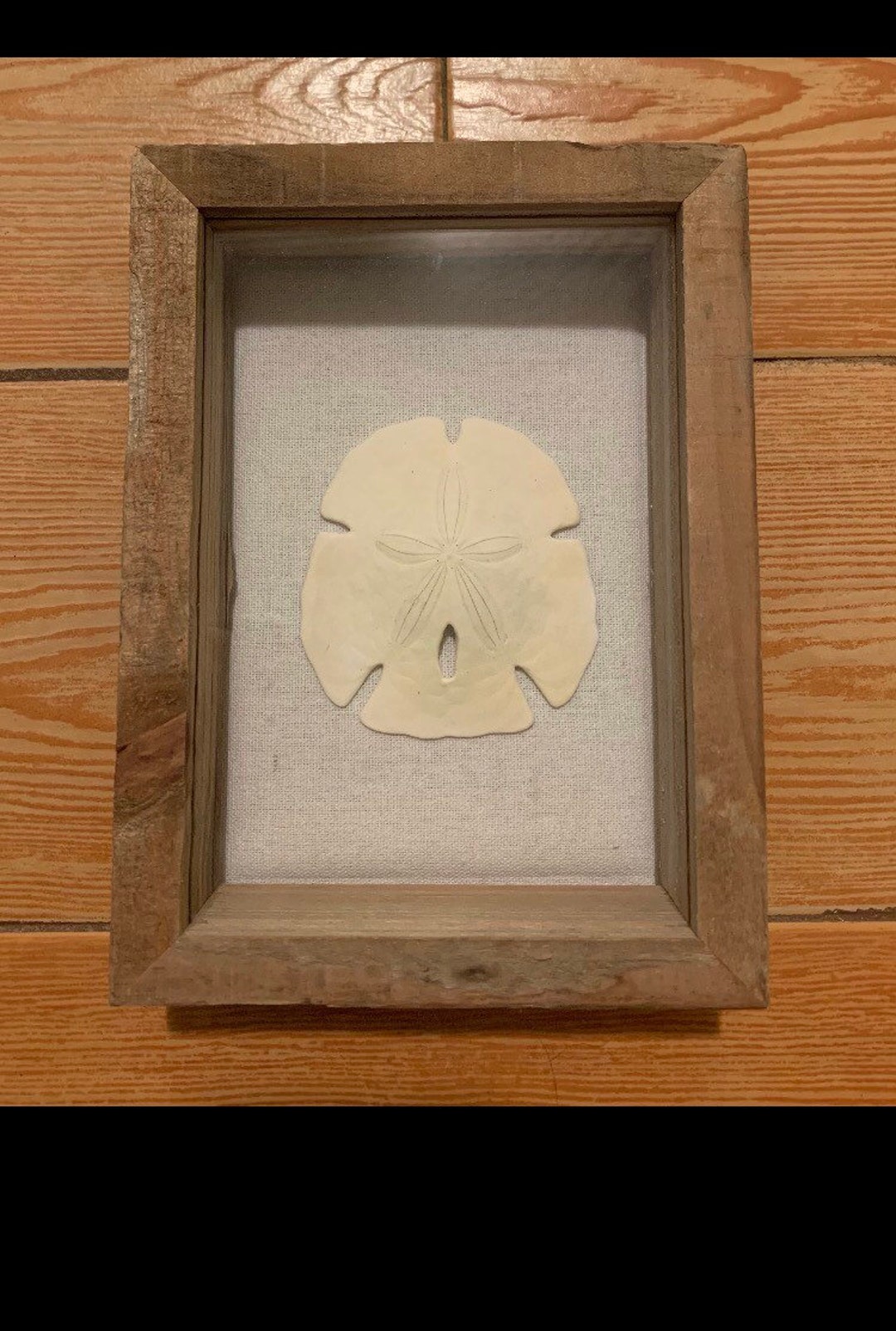 Sand Dollar Shadow Box Wooden Frame 5x7 Coastal Ocean Decor Etsy