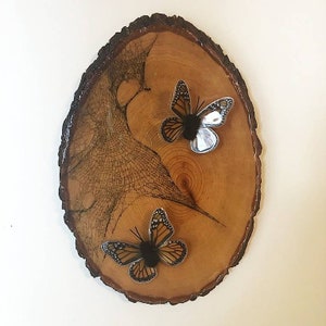 Monarchs and preserved spiderweb