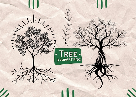 Holy Tree Digital Clipart Procreate Stamp Apple Tree Root Etsy