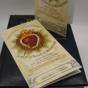 The Surrender Novena by Father Dolindo Ruotolo. 8mm Natural Tiger Eye ...