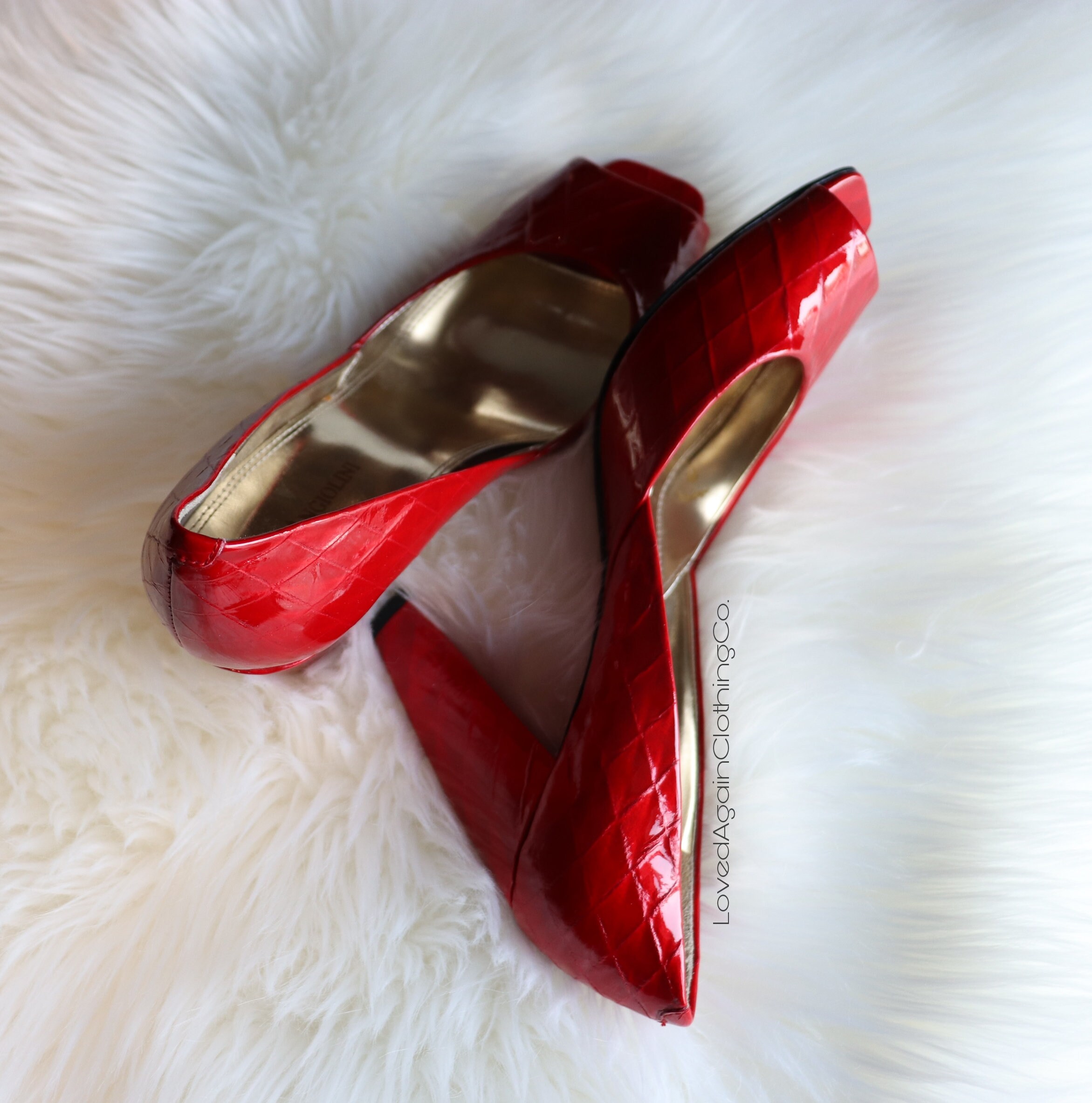 enzo angiolini canada