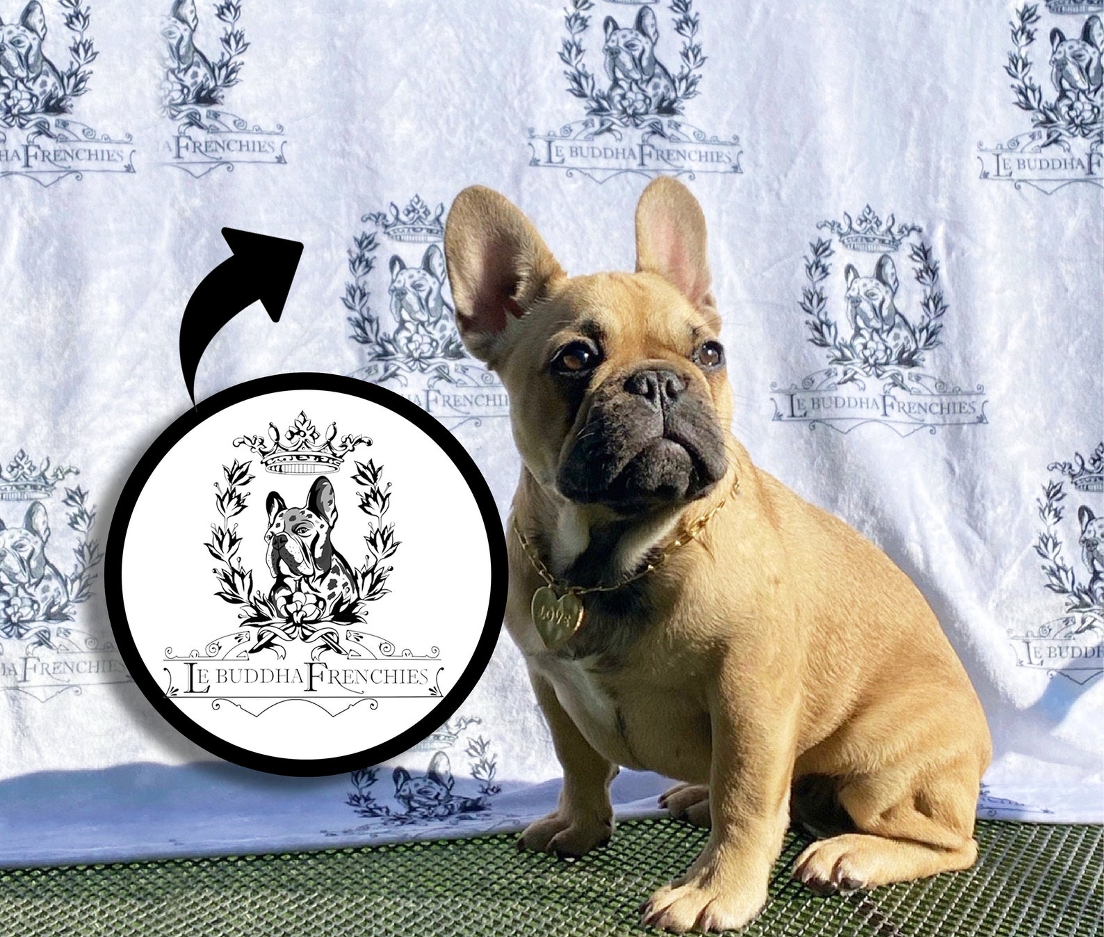 Custom Logo Pattern Blanket Custom Blanket Logo On Blanket Etsy