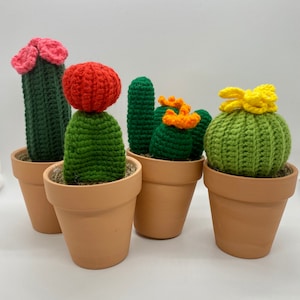 Crochet Succulents in real pots