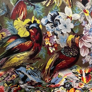 Vintage Bird Pattern Upholstery Velvet Print Fabric by the Yards, Art Velvet Home Decor Fabric, Furniture Sofa Elegant Velvet Fabric