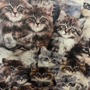 Cute Cats Pattern Upholstery Velvet Print Fabric by the Yards, Animals Velvet Home Decor Fabric, Furniture Sofa Elegant Velvet Fabric