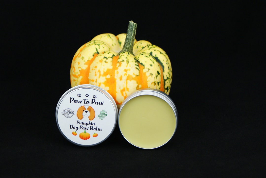 Vitamin E Dog Paw Balm 30ml FREE GIFT Etsy