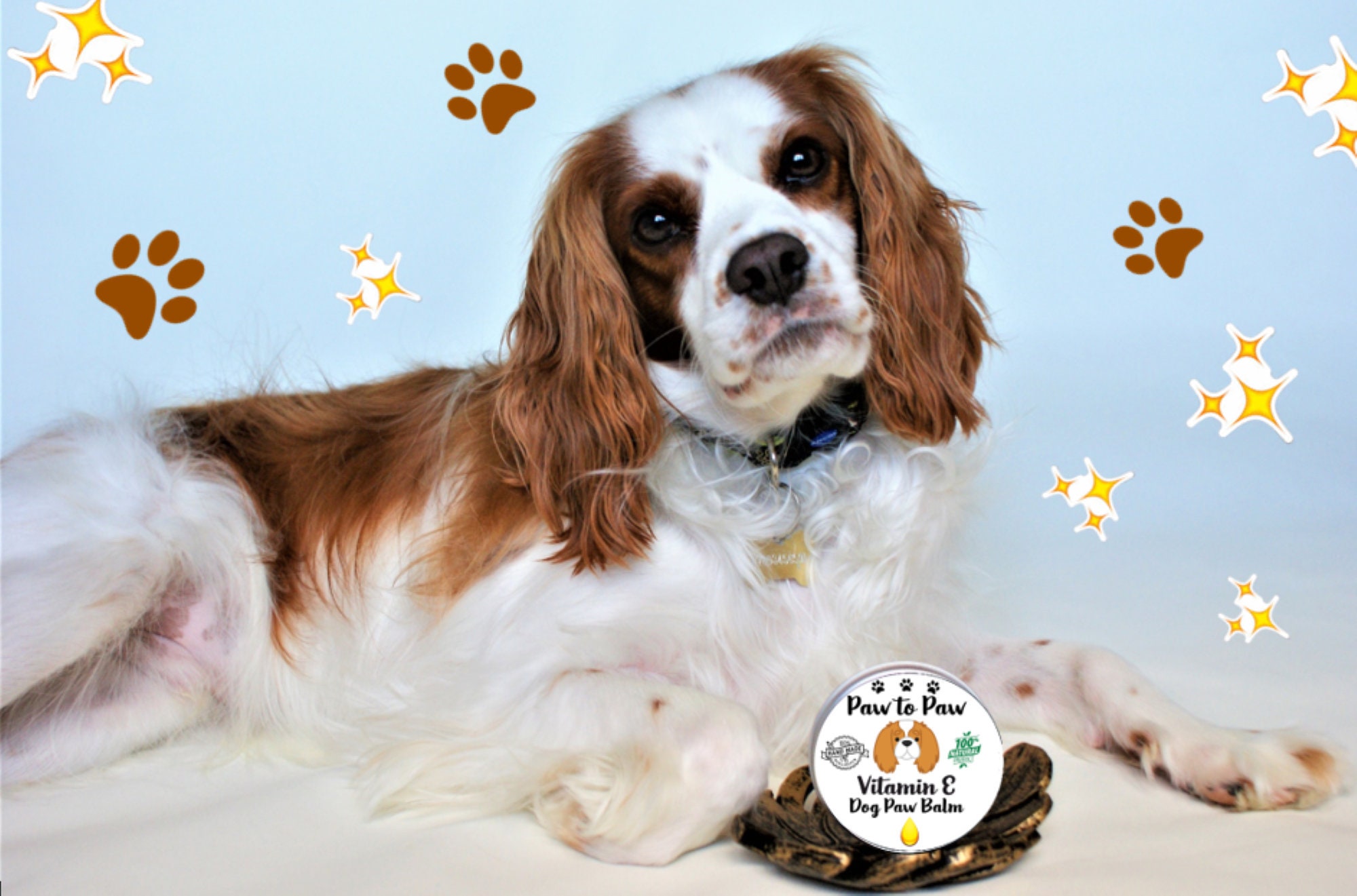 Vitamin E Dog Paw Balm 30ML FREE GIFT Etsy