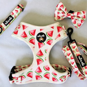 Watermelon Harness Set/ Walkie Set/ watermelon / white and red Harness/ Summer Dog Harness