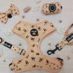 Bumble Bee Harness Set/ Walkie Set/ Bees / Yellow Harness/ Summer Dog Harness