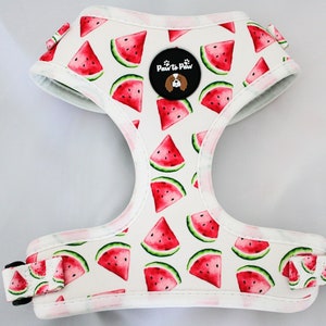 Dog Watermelon Harness- x Small,small, Medium  Dog Walkie- Adjustable Harness/ Car Harness