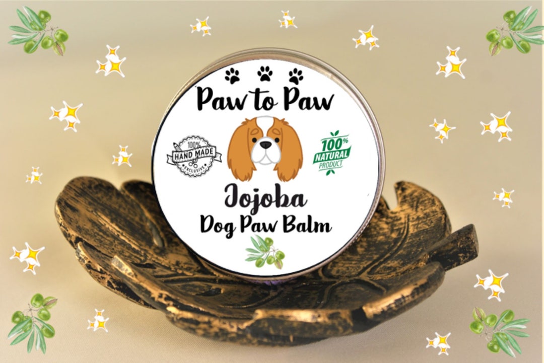 Jojoba Dog Paw Balm 30ML FREE GIFT Etsy