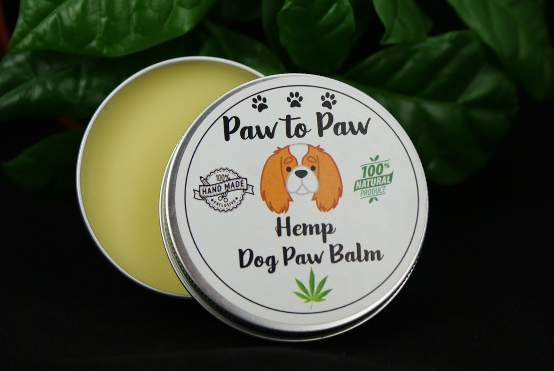 Hemp Dog Paw Balm 30ml FREE GIFT Etsy