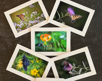 Original Photo Note Cards Butterflies, Set of 6 with Envelopes, Blank Inside