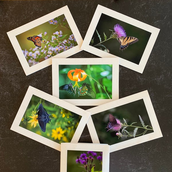 Butterfly Note Cards Etsy