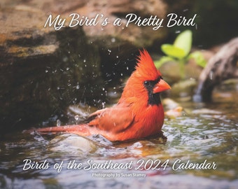 2024 Birds of the Southeast Wall Calendar featuring Photography by Susan Stamey