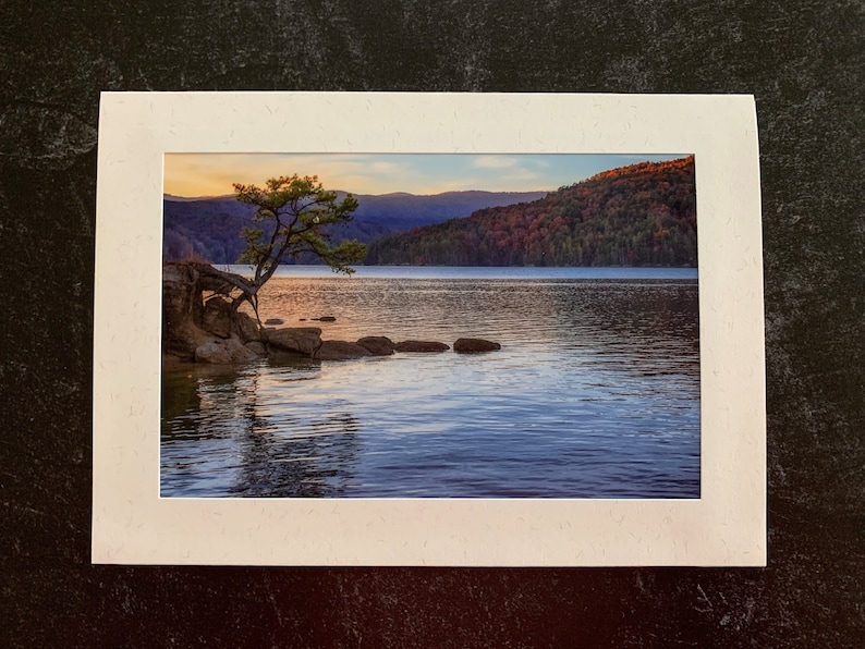 Set of 6 Original Photo Note Cards Blank Inside Favorite Trees