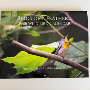 May include: A 2026 Wild Bird Calendar featuring a colorful bird perched on a branch. The calendar cover displays the text "Birds of a Feather..." and "Photography by Susan Stamey."
