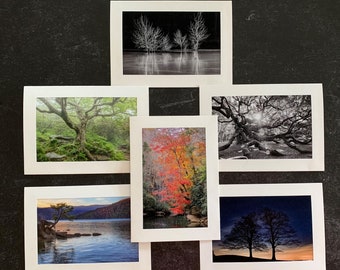 Set of 6 Original Photo Note Cards Blank Inside Favorite Trees