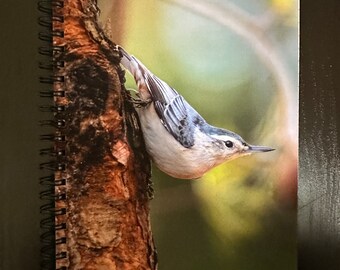 Backyard Birds Notebook/Journal