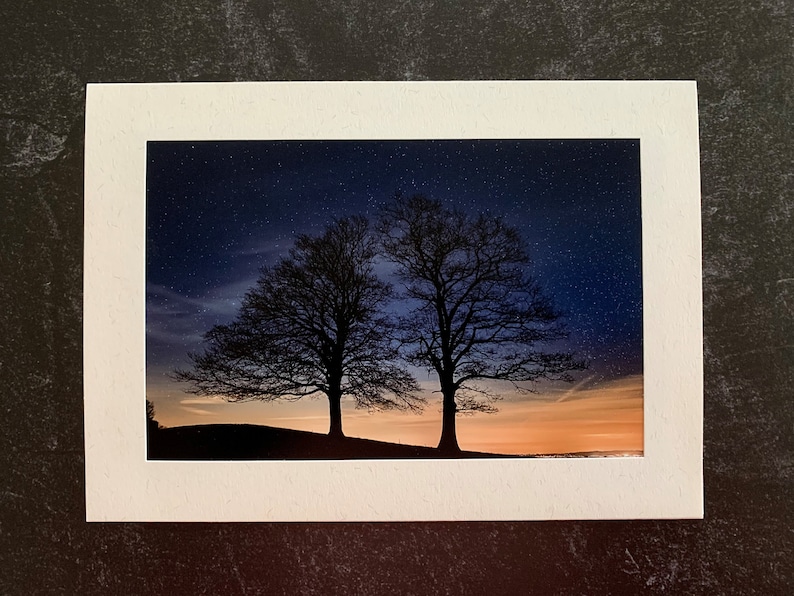 Set of 6 Original Photo Note Cards Blank Inside Favorite Trees