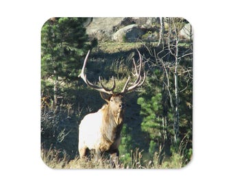 Grand Teton Elk Coaster | Wildlife Nature Photo | Rounded Cork Back