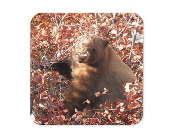 Grand Teton Cinnamon Bear Eating Berries Coaster | Moose-Wilson Road Nature Photo